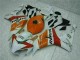 Carénage Moto CBR 1000 RR 2004-2005 - Orange Blanc Repsol Carénage Moto CBR 1000 RR 2004-2005 - Orange Blanc Repsol