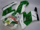 Carénage Moto CBR 1000 RR 2004-2005 - Vert Blanc Carénage Moto CBR 1000 RR 2004-2005 - Vert Blanc