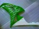 Carénage Moto CBR 1000 RR 2006-2007 - Vert Carénage Moto CBR 1000 RR 2006-2007 - Vert