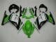 Carénage Moto EX300 2013-2016 - Vert Noir Argent