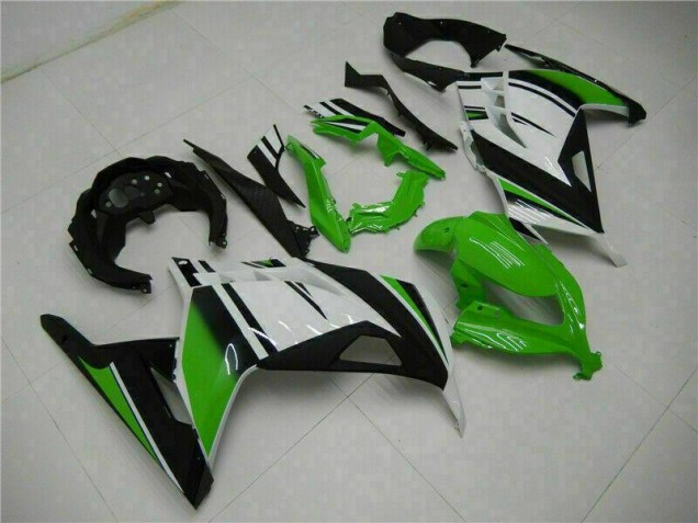 Carénage Moto EX300 2013-2016 - Vert Noir Argent