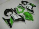 Carénage Moto EX300 2013-2016 - Vert Noir Argent