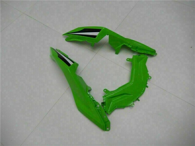 Carénage Moto EX300 2013-2016 - Vert Noir Argent