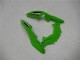 Carénage Moto EX300 2013-2016 - Vert Noir Argent