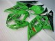 Carénage Moto GSXR 1000 K5 2005-2006 - Vert