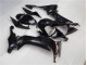 Carénages Moto ZX10R 2008-2010 - Noir Brillant Carénages Moto ZX10R 2008-2010 - Noir Brillant